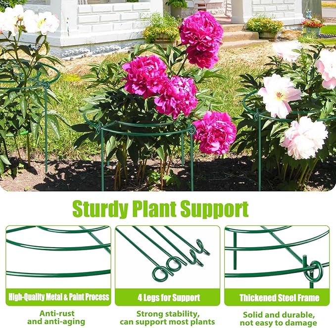 4 Pack Peony Cages and Supports, 11.5" Dx16 H Plant Supports for Outdoor Plants, Heavy Duty Metal Peony Support Cage Flower Support Rings, Plant Support Ring for Rose Tomato Hydrangea Strawberry