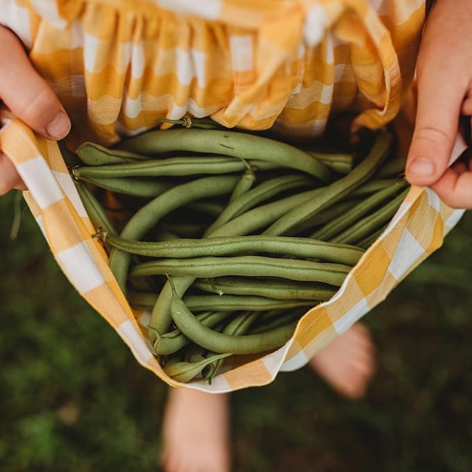 Contender Bush Green Bean - 50 Seeds - Easy & Fast Growing Heirloom Bush Bean Variety, Non-GMO Snap Bean Seeds for Planting in The Home Garden, Thresh Seed Company