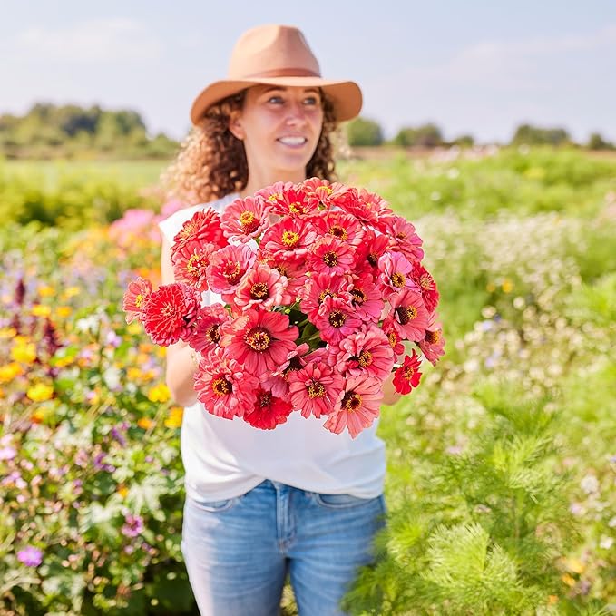 Eden Brothers Zinnia Seeds - Salmon Queen, Non-GMO Seeds for Planting, 1 oz | Low-Maintenance Flower Seeds, Plant During Spring, Zones 3, 4, 5, 6, 7, 8, 9, 10