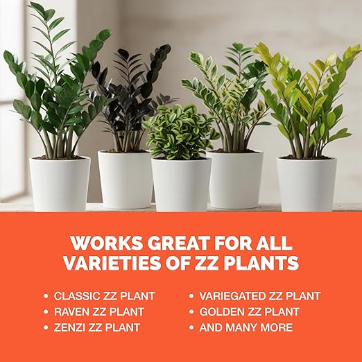 ZZ Plant Fertilizer – Liquid Plant Food for Glossy Green Leaves, Stronger Roots & Healthy New Growth, 32 oz