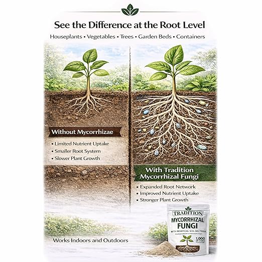 Tradition Mycorrhizal Fungi with Beneficial Soil Bacteria – 1,000 Spores per Gram – Water Soluble Root Inoculant for Houseplants, Vegetables, Trees & Garden Soil – 4 oz