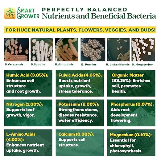 Organic Plant Food with Beneficial Microbes, Fast Acting Vegan Fertilizer for Vegetable Garden, Outdoor & Indoor Plant Fertilizer, Miracle Growth for Plants Concentrated 250GR Makes 60 Gallons