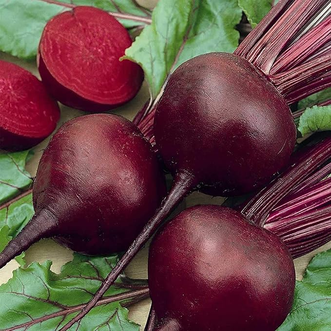 Detroit Dark Red Beet Seeds - Non-GMO Bulk Heirloom Seed for Growing Microgreens, Vegetable Gardening, Garden Salad Garnishes, More (1 Lb)