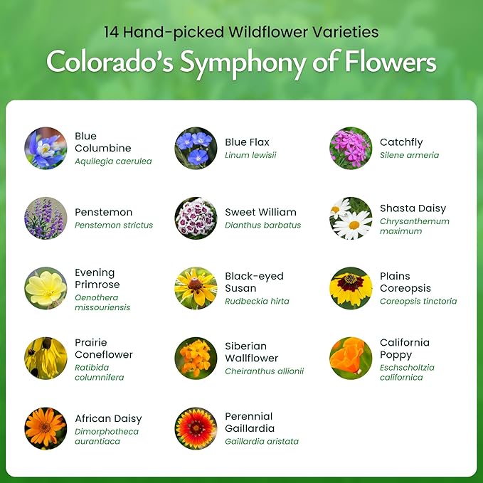 Created By Nature Colorado Wildflower Seed Mix, 14 Flower Varieties, 53,000+ Seeds