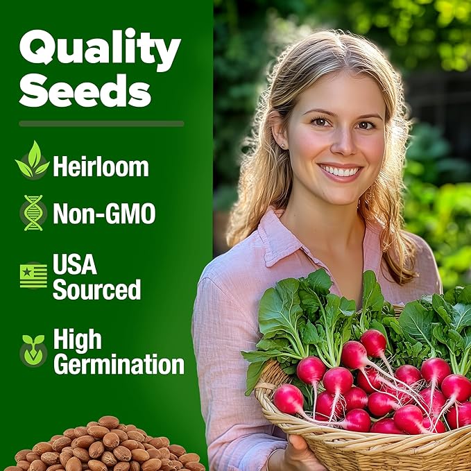 Root Vegetable Seed Variety Pack – Over 8,600 Non-GMO USA Heirloom Seeds: Arugula, Tendersweet Carrots, Detroit Dark Red Beets & Cherry Belle Radish – Fast Growing for Spring & Fall Gardens