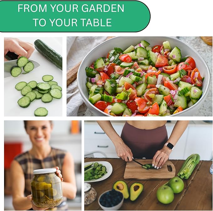 Woods Creek Seeds: Straight Eight Cucumber Seed for Planting - Over 90 Heirloom Seed Pack - Non-GMO Pickling Cucumber Seeds for Planting Indoors or Outdoors