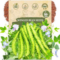 Winged Bean Seeds (Dragon Bean) – 50+ Non-GMO, High-Yielding Heirloom Seeds for Planting – Four-Angled Bean, Easy to Grow, Nutritious Vegetable