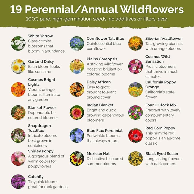 Eden Brothers Arizona Wildflower Mixed Seeds for Planting, 1/4 lb, 120,000+ Seeds with Yarrow, Cosmos, Indian Blanket | Attracts Pollinators, Plant in Spring or Fall, Zones