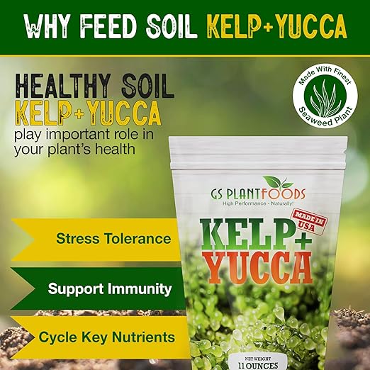 GS Plant Foods Kelp + Yucca Plant Fertilizer & Soil Conditioner – Heat & Drought Protection Formula for Vegetables, Lawns, Gardens & Houseplants (11 oz Dry Concentrate)