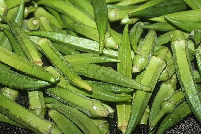 TKE Farms & Gardens - Clemson Spineless Okra Seeds for Planting, 100+ Heirloom Non-GMO Seeds, Easy to Grow for Outdoor Gardens, High-Yield Variety That Thrives in Warm Climates