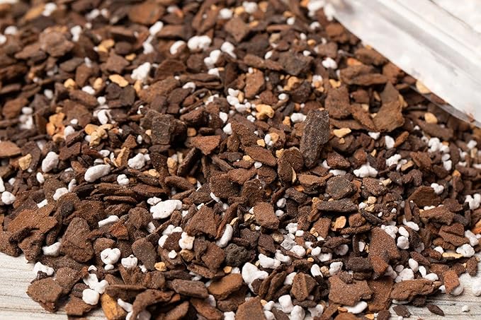 rePotme Aloe Vera Succulent Potting Soil Mix - Imperial Blend (Junior Bag)