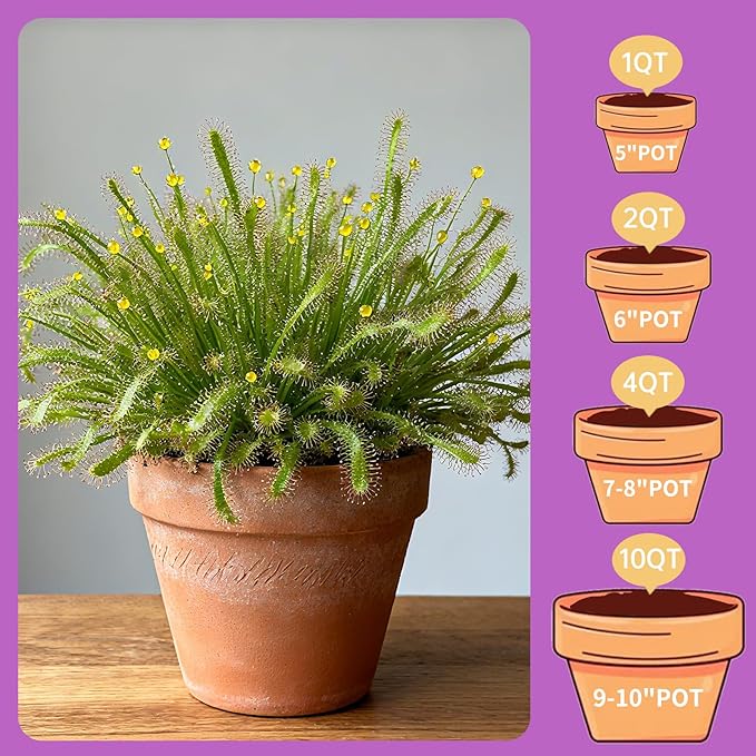 Premium Carnivorous Plant Soil for Venus Fly Trap Live Plants 1qt | New Upgraded Formula with High Drainage & Breathability