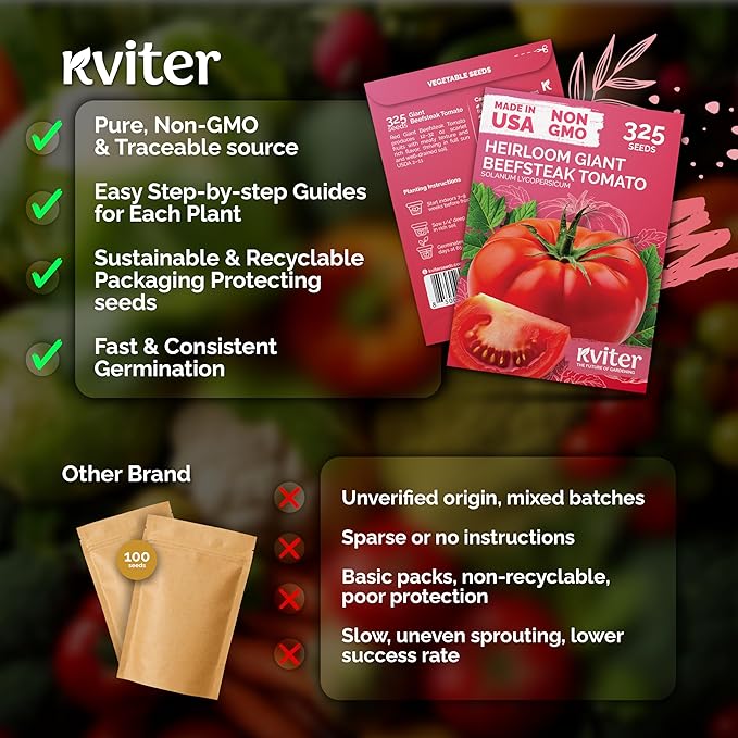 KVITER 325 Red Giant Beefsteak Tomato (Solanum lycopersicum) Seeds – Large Juicy Fruits for Gardens and Containers – Heirloom Flavor, High Yield, Perfect for Slicing