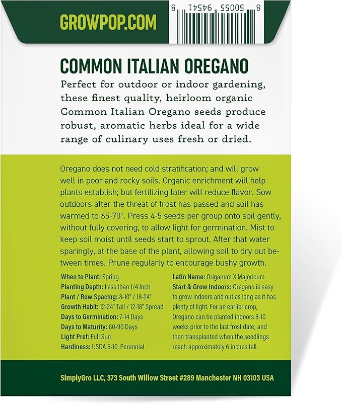 Organic Common Italian Oregano Seeds - USDA Organic, Non-GMO, Open Pollinated, Heirloom (1 Packet - 500 MG - Approx 450 Seeds)