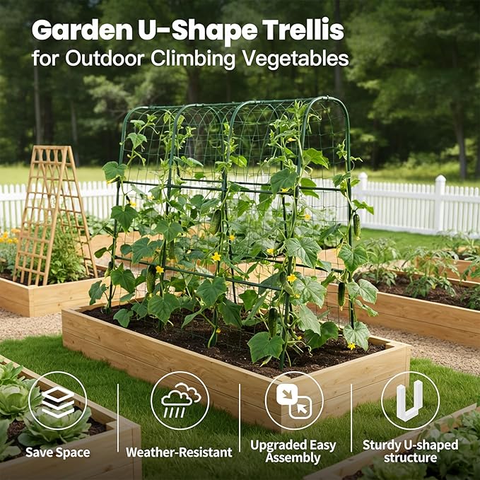 Cucumber Trellis for Raised Bed, Garden Trellis for Climbing Plants Outdoor, Metal Arch Trellis U-Shape Vegetables Support for Tomotoes Grape Vines Beans Peas (Green, 48" L x 24" W x 48" H)