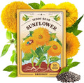Seedboy Sungold Teddy Bear Sunflower Seeds for Planting Indoor and Outdoor, Non-GMO and USDA Certified Flower Seed Packet for Hydroponic Garden Indoor or Planting Outdoor (Teddy Bear Sunflower)