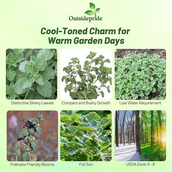 Outsidepride - Horehound Seeds - 5000 Pcs. Perennial, Compact, Easy to Grow & Pollinator Friendly, Herb Seeds for Planting Toothed, Wooly Gray-Green Foliage for Versatile & Culinary Uses
