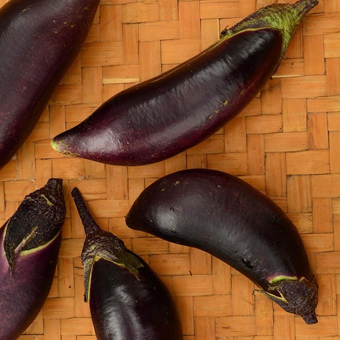 Fengyuan Purple Eggplant - 25 Seeds - Heirloom & Open-Pollinated Variety, USA-Grown, Non-GMO Vegetable Seeds for Planting Outdoors in The Home Garden, Thresh Seed Company