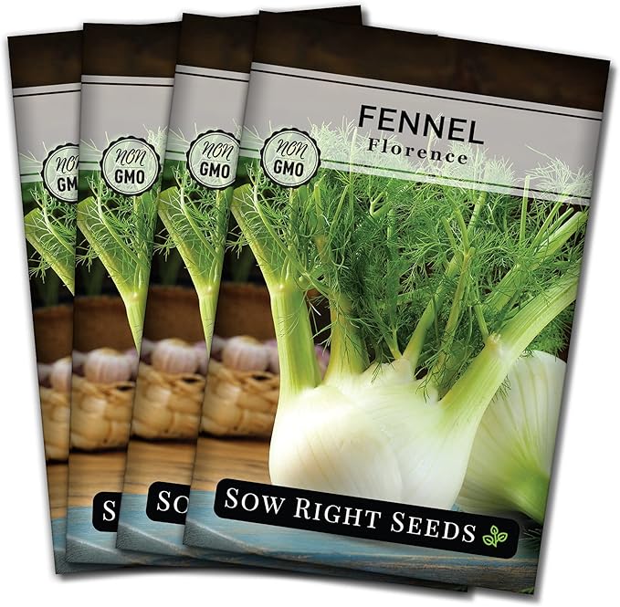 Sow Right Seeds - Florence Fennel Seed for Planting - Non-GMO Heirloom Packet with Instructions to Plant and Grow in Your Herbal Garden - Great for Seasoning and Cooking - Attract Pollinators (4)