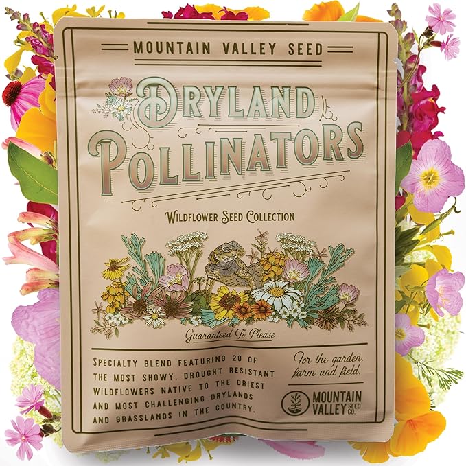 Wildflower Seeds - Drought-Tolerant Mix, 2 oz (80,000+ Seeds) – 20 Non-GMO Varieties – Dryland Wildflower Blend for Pollinators and Low-Water Gardens