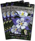 Sow Right Seeds - Blue Columbine Flower Seeds to Plant - Non-GMO Heirloom Packet With Instructions to Plant in Your Garden- Beautiful Perennial Flowers - Attract Hummingbirds, Bees and Butterflies (3)