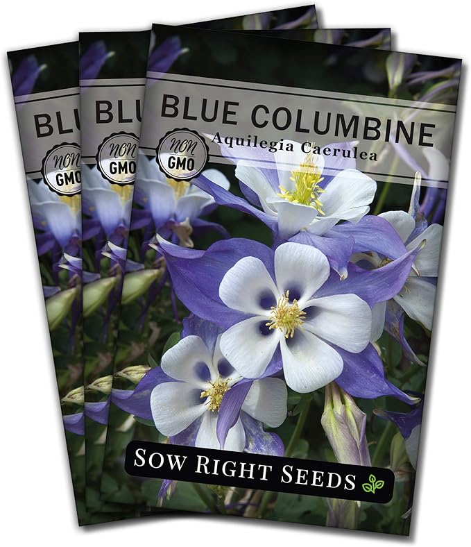 Sow Right Seeds - Blue Columbine Flower Seeds to Plant - Non-GMO Heirloom Packet With Instructions to Plant in Your Garden- Beautiful Perennial Flowers - Attract Hummingbirds, Bees and Butterflies (3)