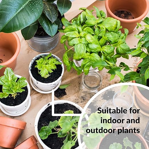 SUPERthrive Plant Vitamin Solution 1 pt + Organic 4-4-4 All-Purpose Fertilizer Set, 2 Pack