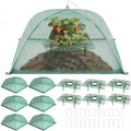 6 Sets Strawberry Plant Support with Mesh Plant Cover, Strawberry Growing Rack Kit with 24 Iron Plant Nails for Garden, Strawberry Growing Frame with Protective Net for Strawberries Tomatoes Veggies