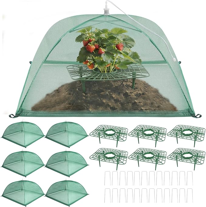 6 Sets Strawberry Plant Support with Mesh Plant Cover, Strawberry Growing Rack Kit with 24 Iron Plant Nails for Garden, Strawberry Growing Frame with Protective Net for Strawberries Tomatoes Veggies