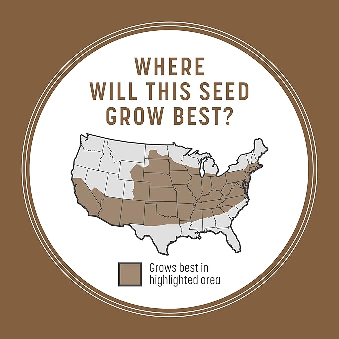 Pennington Bare Spot Repair Grass Seed Mixture - Central 1 lb