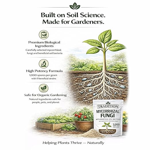 Tradition Mycorrhizal Fungi with Beneficial Soil Bacteria – 1,000 Spores per Gram – Water Soluble Root Inoculant for Houseplants, Vegetables, Trees & Garden Soil – 4 oz