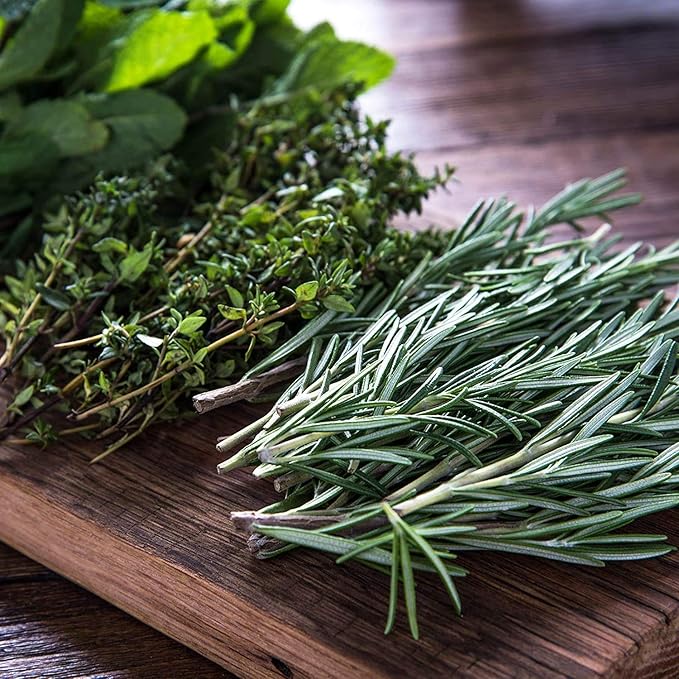 12 Culinary Herb Seeds Assortment - Non-GMO Herb Garden Starter Set - Grow Cooking Herbs: Parsley, Thyme, Cilantro, Basil, Dill, Oregano, Sage & More