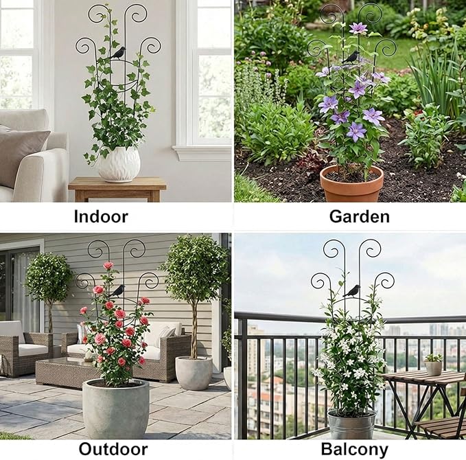 2 Pack Trellis for Climbing Plants Indoor, 30In Monstera Plant Support Structures, Plant Trellis for Potted Plants Stakes, Metal Climbing Support Outdoor for Ivy Pothos Monstera Hoya Flower Vine,Bird