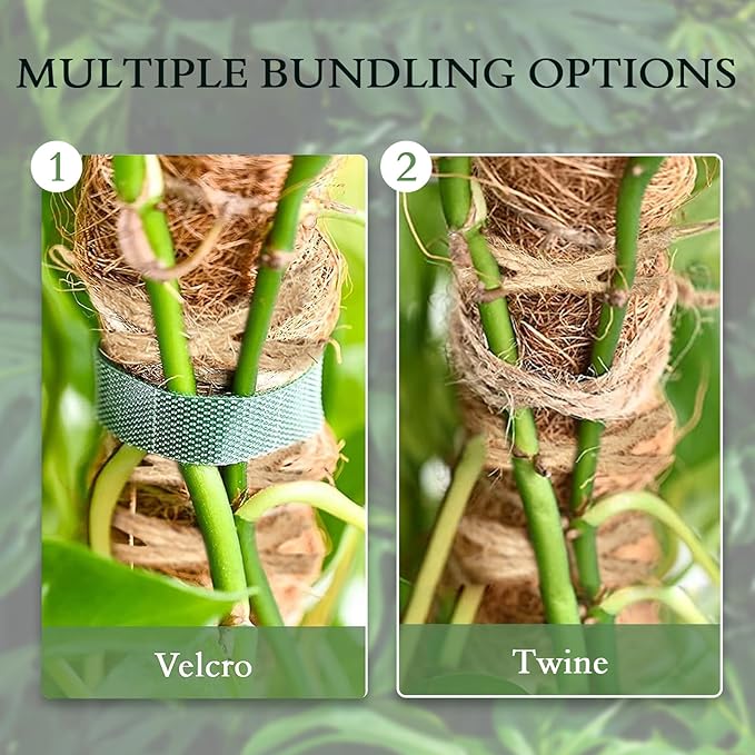 2 Pack 25 Inch Coco Coir Moss Poles for Climbing Indoor Plants - Handmade Plant Support for Creepers to Grow Upwards