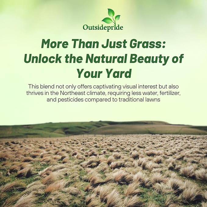 Outsidepride Perennial Northeast Native Grass Seed Mix - 1 lb. Cold & Drought-Tolerant Warm & Cool Season Prairie Grass Seeds for Xeriscaping, Erosion Control, Wildlife Support, & Pollinator Habitats