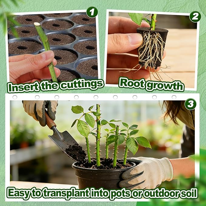Bigmeta 50 Pcs Rooting Sponges, Starter Plugs for Seedlings or Cuttings, Rapid for Soil, Tray or Planting Pods Plant Rooter, Promotes Herbs Vegetable Flowers Growth