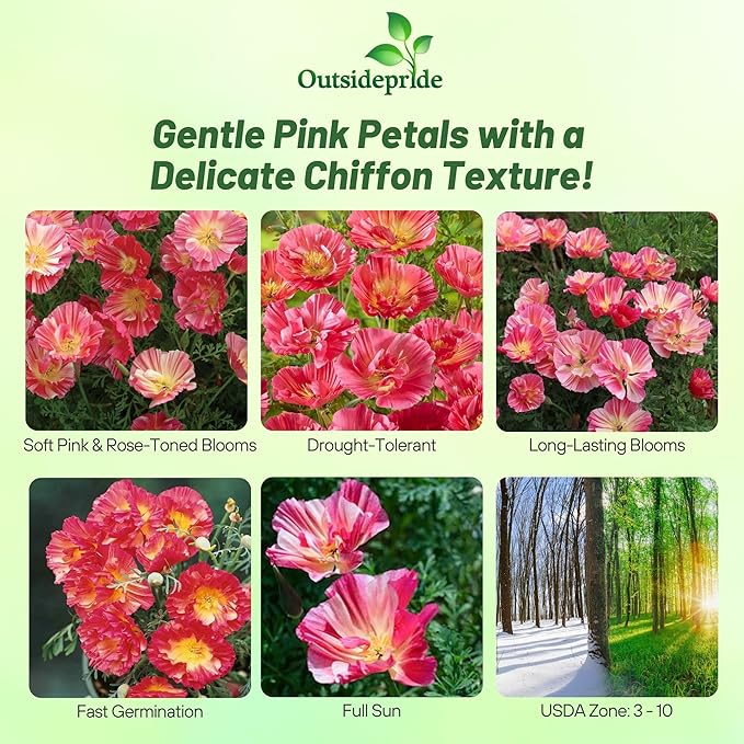 Outsidepride California Rose Chiffon Poppy Seeds for Planting - 100 Pcs Annual, Drought-Tolerant & Easy to Grow Wildflower Seeds with Vibrant Pink Blooms for Landscaping, & Pollinator Garden