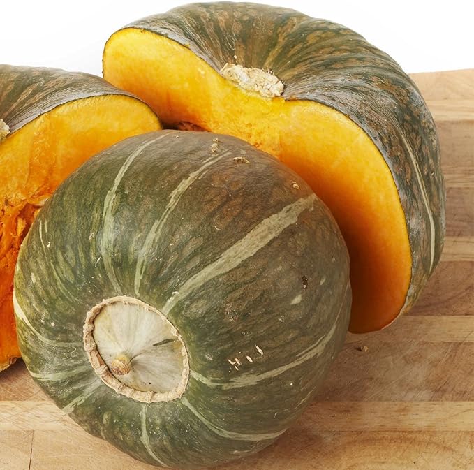 Burgess Buttercup Winter Squash Garden Seeds - 5 Gram Packet - Non-GMO, Heirloom - Vegetable Gardening Seed