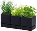 D'vine Dev 4 Inch Herb Planter Pot, Plastic Planter with Drainage Holes and Saucer, Modern Decorative Gardening Pot for Indoor Plants, Flowers, Herbs, Succulents, Black, Set of 3, 76-Y-B3-1