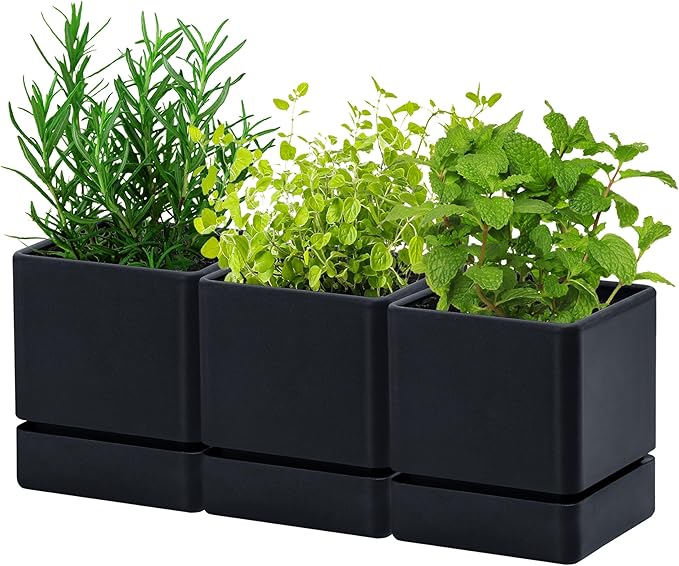 D'vine Dev 4 Inch Herb Planter Pot, Plastic Planter with Drainage Holes and Saucer, Modern Decorative Gardening Pot for Indoor Plants, Flowers, Herbs, Succulents, Black, Set of 3, 76-Y-B3-1