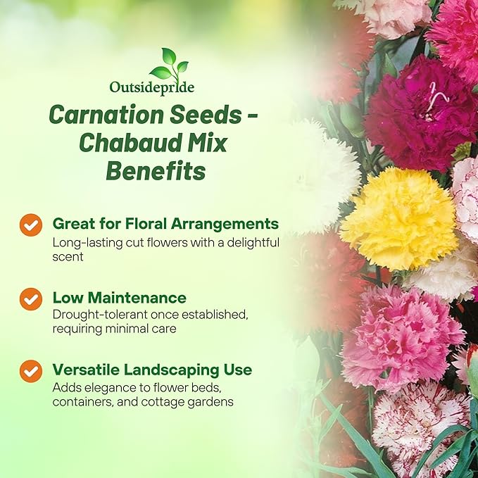 Outsidepride Chabaud Mix Carnation Seeds - 1000 Pcs Perennial, Easy to Grow Flower Seeds for Planting with Fragrant Blooms, Ideal for Pollinators, Cutting Gardens, Bouquets, & Floral Arrangements