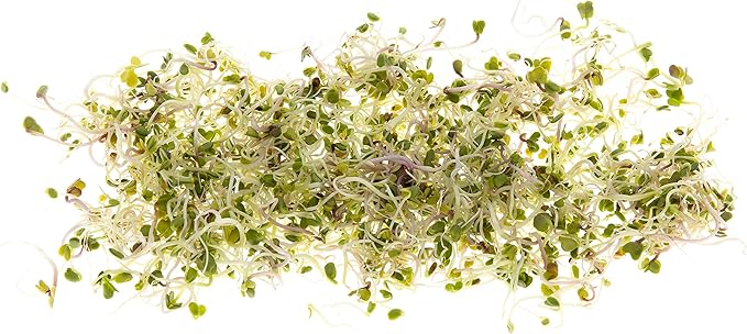 Broccoli Seeds for Sprouting & Microgreens | Calabrese Variety | Non GMO & Heirloom Seeds | Bulk 1 LB Resealable Bag | Rainbow Heirloom Seed Co.