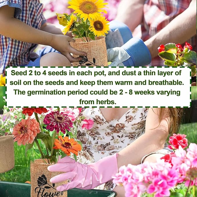 Meekear Indoor Starter 4 Kit with Complete Gardening Kit & Wooden Box, Growing into Shasta Daisy, Cornflower, Sunflower, Zinnia