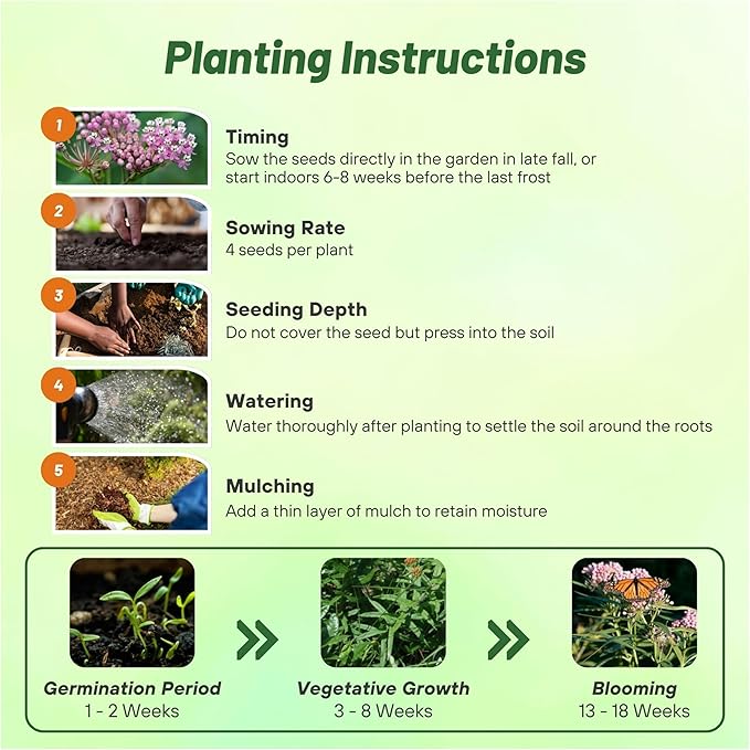 Outsidepride Swamp Milkweed Seeds - 1000 Pcs Perennial, Heat & Humid Tolerant, Pollinator-Friendly Wildflower Seeds, Ideal for Monarch Butterflies, Cut Flowers, Borders, or Meadows