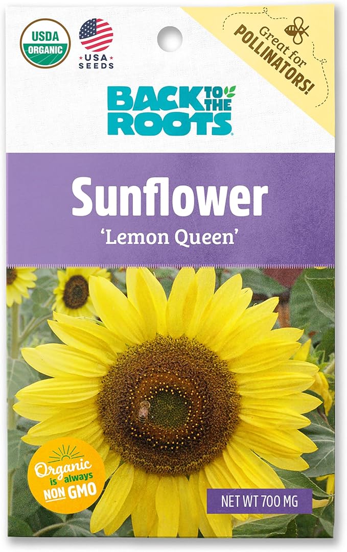 Back to The Roots 100% Organic Seed Packet - Sunflower 'Lemon Queen' 700mg