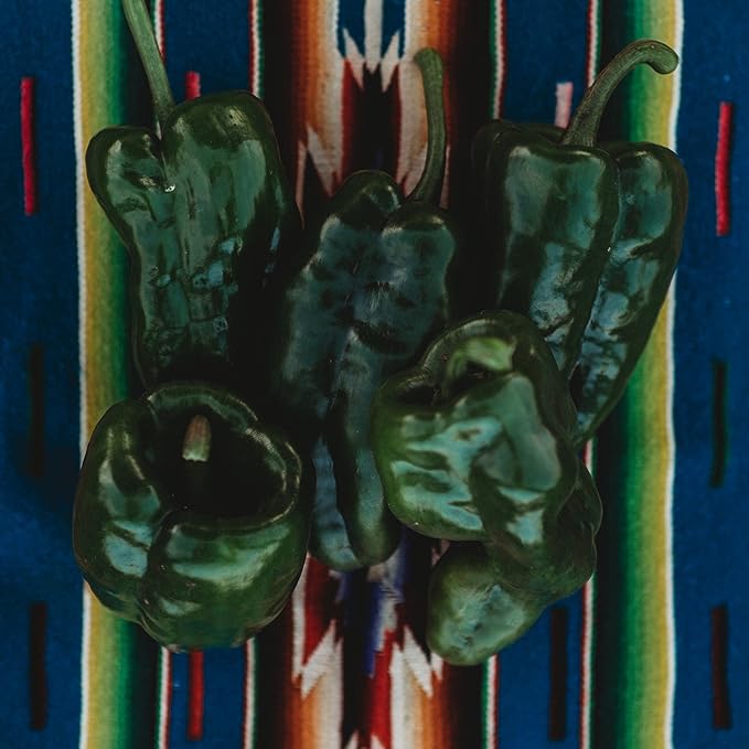 Poblano Ancho Gigantea Chili Pepper (Mildly Hot) - 10 Seeds - Heirloom Mexican Chile Variety, Non-GMO Vegetable Seeds for Planting in The Home Garden, Thresh Seed Company