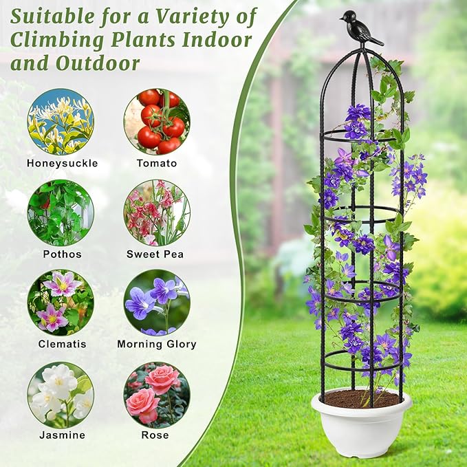 Obelisk Trellis for Climbing Plants, 6 Ft Garden Obelisk Trellis Rustproof Plastic Coated Metal Vine Plant Support Cage for Pots, Morning Glory, Clematis, Rose, Indoor and Outdoor Use, 2 Pack