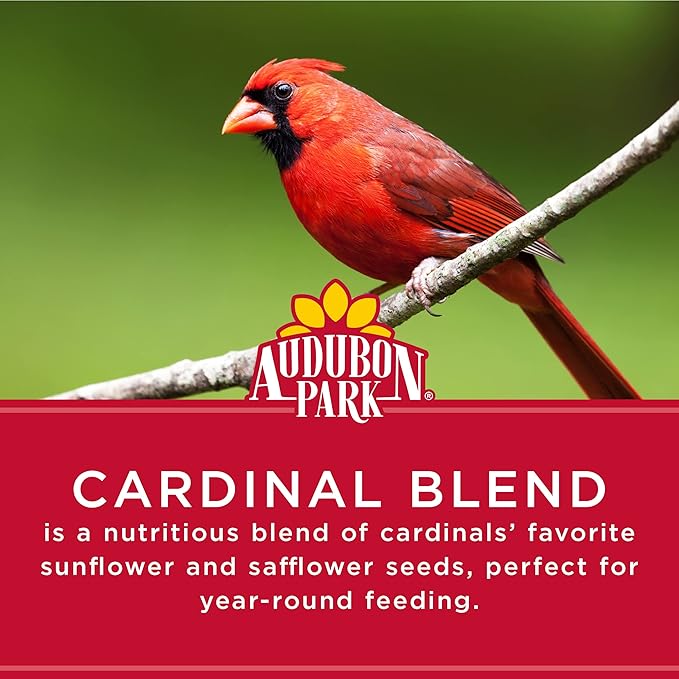 Audubon Park Cardinal Blend Wild Bird Food, Cardinal Bird Seed for Outside Feeders, 4-Pound Bag (Pack of 2)