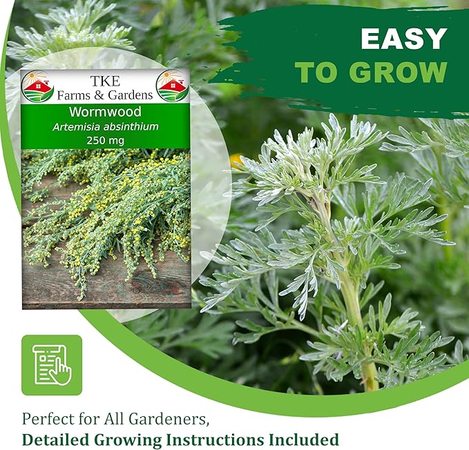 TKE Farms & Gardens - Wormwood Seeds for Planting, 1000+ Heirloom Non-GMO Seeds, Aromatic Perennial Herb with Silvery Foliage, Hardy and Drought-Tolerant, Beautiful Low-Maintenance Garden Plant