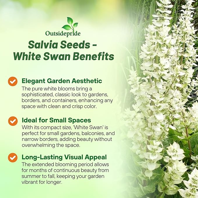 Outsidepride White Swan Salvia Seeds - 1,000 Pcs Annual, Compact, Heavy Blooming & Drought-Tolerant Sage Seeds for Planting Fragrant White Blooms for Butterfly & Hummingbird Gardens & Landscaping